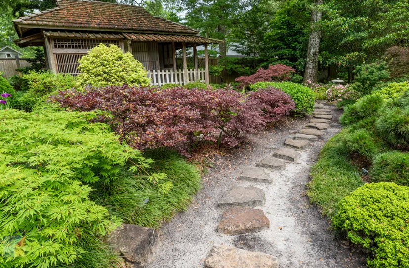 New Hanover County Arboretum | N.C. Cooperative Extension, United States